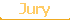 Jury